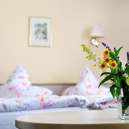 Hotel Im Kraeutergarten 컬스도프 외부 사진